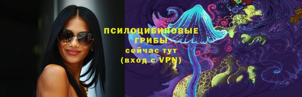 ПСИЛОЦИБИНОВЫЕ ГРИБЫ Богородицк