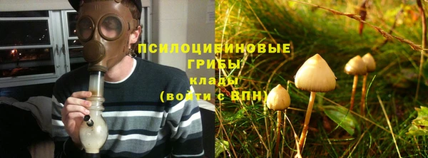 гидра Белоозёрский